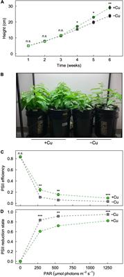 Age Dependent Partitioning Patterns of Essential Nutrients Induced by Copper Feeding Status in Leaves and Stems of Poplar